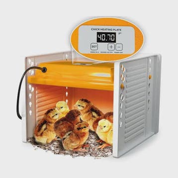 Verstelbare Kip Broedmachine Warmteplaat met Digitale Temper, Verzenden, Nieuw