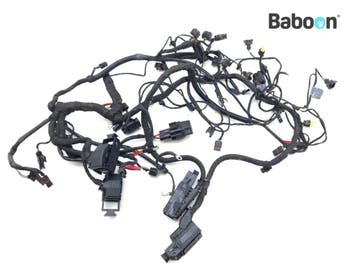 Kabelboom BMW F 800 GS 2017 (F800GS 17) (8566627), Verzenden, Gebruikt