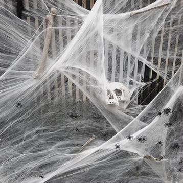 Halloween Spinnenweb Decoratie met Spinnen - Creëer een Grie