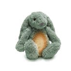 Ro het groene knuffelkonijn met hartslag en licht, Ophalen of Verzenden, Nieuw