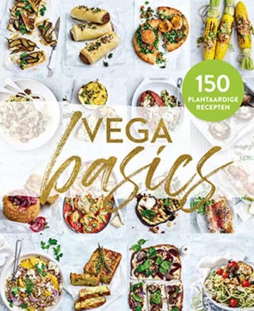 Vega basics 9789463547086, Verzenden, Zo goed als nieuw