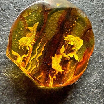 Gegraveerde natuurlijke hele Baltische amber cabochon van 4