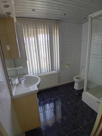 Woning te huur in Stein - 99 m² - 1 kamer(s), Huizen en Kamers, Huizen te huur, Overige soorten, Stein, Limburg