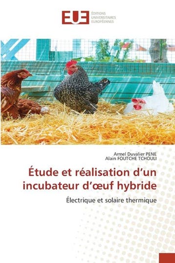 9786209440595 Etude et realisation dun incubateur doeuf..., Verzenden, Nieuw, Armel Duvalier Pene