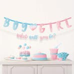 2 Letterslingers Gender Reveal Boy Or Girl, Kinderen en Baby's, Ophalen of Verzenden, Nieuw