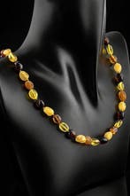 Barnsteen - Multicolor Baltic Amber Necklace – Polished &