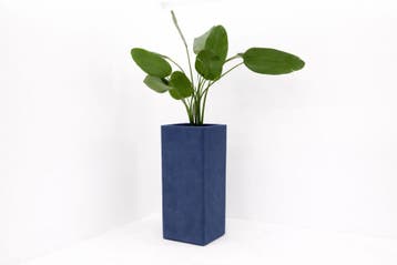 Akoestische plantenbak - 104x42x42cm (hxbxd) - wolvilt -, Werkplek, Ophalen of Verzenden, Nieuw in verpakking, Overige typen