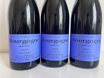 2023 Sylvain Pataille - Bourgondië - 3 Flessen (0.75 liter), Nieuw