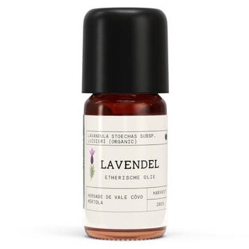 Lavendel EO - Lavandula stoechas subsp. Luisieri, Verzenden, Nieuw, Bodylotion, Crème of Olie