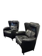 de Sede - Franz - Josef Schulte - Fauteuil (2) - DS 23 De