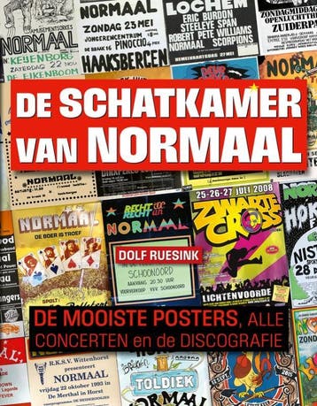 De Schatkamer Van Normaal | Dolf Ruesink | Nieuw, Ophalen of Verzenden, Nieuw, Dolf Ruesink