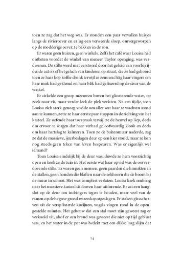 Een sprong in de tijd / Tijdloze liefde / 2 9789049209001, Boeken, Romans, Verzenden, Gelezen, Irina Shapiro