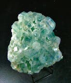 CW2072 Bella Fluorite van twee generaties Kristalcluster -