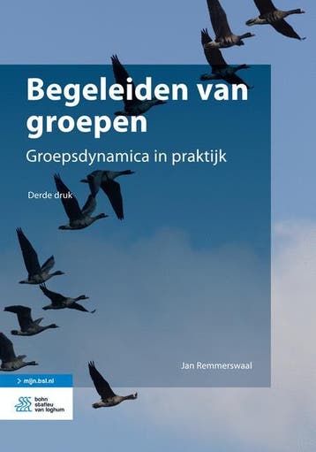 Begeleiden van groepen - Jan Remmerswaal 9789036807241, Verzenden, Gelezen, Jan Remmerswaal