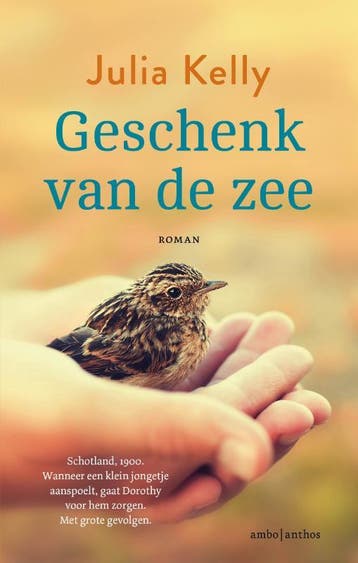 Geschenk van de zee - Julia Kelly 9789026372377, Boeken, Romans, Verzenden, Gelezen, Julia Kelly