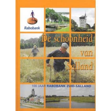 De schoonheid van Salland - Henk J. van Baalen 9789076859163, Boeken, Verzenden, Gelezen, Henk J. van Baalen