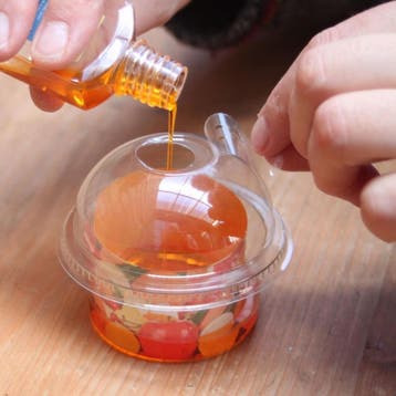 Foetsie Fruitvliegjes Vanger - Lokdoos met Azijnbasis - I...