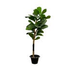Green Bubble - Kunst Ficus Lyrata op stam - 150cm - Ø10 cm, Ophalen of Verzenden, Nieuw, Binnen