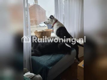 Ruim huis in Den Helder zoekt plekje in Den Helder