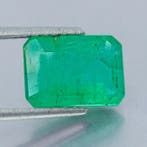 1 pcs Groen Smaragd - 2.75 ct - Bellerophon Gemlab -, Nieuw