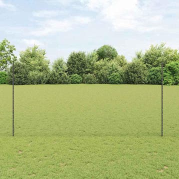 vidaXL zeshoekig gaasgek met palen 25 x 1,6 m PVC-Coated, Verzenden, Nieuw, IJzer