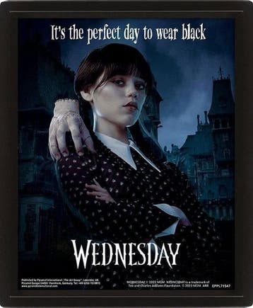 Wednesday 3D Lenticular Framed Poster Perfect Day 26 x 20 cm, Ophalen of Verzenden, Nieuw