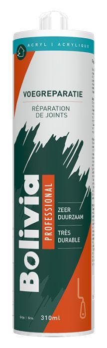 Bolivia Voegreparatie Grijs - 310 ml (Kit - Plamuur), Ophalen of Verzenden, Nieuw, Overige typen