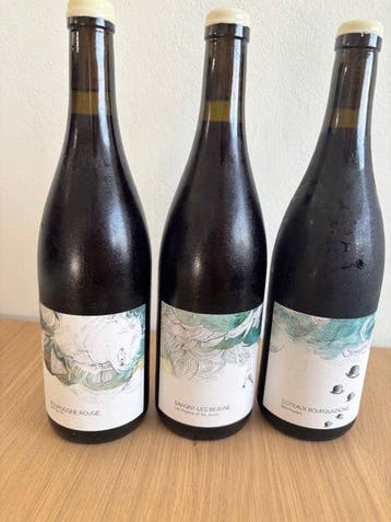 2023 Les Horées Savigny Les Beaune Les Plaisirs et les, Nieuw