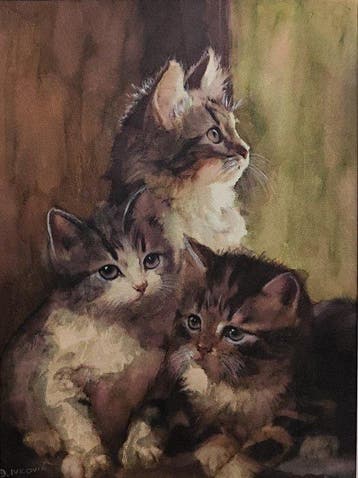 Davor Ivkovi (1965) - Cats