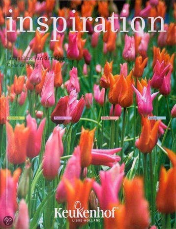 Inspiration NL/D/E/F 9789059471603 C. Jong, Boeken, Verzenden, Gelezen, C. Jong