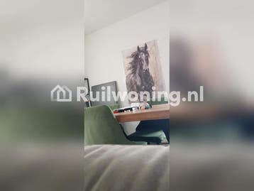 Schagen: Charmant huis met 4 kamers (Callantsoog)