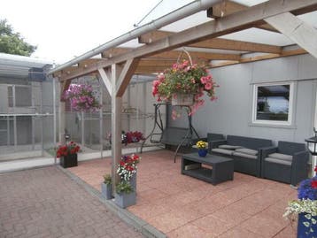 Polycarbonaat dak compleet voor overkapping, Tuin en Terras, Overkappingen, Ophalen of Verzenden, Nieuw