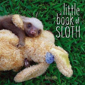 A Little Book of Sloth - Lucy Cooke 9781442445574, Verzenden, Gelezen, Lucy Cooke