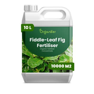 Vioolbladplant Vloeibare meststof - 10 liter, Verzenden, Mest