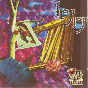 cd - Floy Joy - Weak In The Presence Of Beauty, Verzenden, Zo goed als nieuw