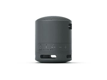 Sony -  Srs-xb100  - Zwart, Verzenden, Overige typen, Nieuw, 60 tot 120 watt