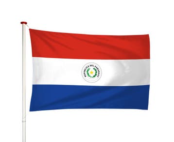 Paraguayaanse Vlag 40x60cm, Verzenden, Nieuw
