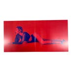 Helene Fischer - Rausch Vinyl (2LP), Cd's en Dvd's, Verzenden, Nieuw in verpakking