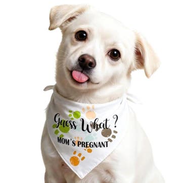 Honden bandana Guess What? Moms Pregnant, Ophalen of Verzenden, Nieuw, Versiering, Geboorte of Huwelijk