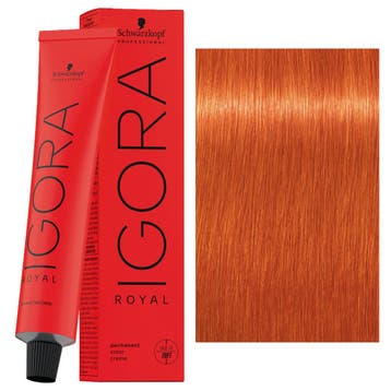 Schwarzkopf – Igora Royal Haarverf 60 ml Permanente, Verzenden, Nieuw