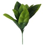 Bladpick Two Tone Groen Kunstblad 15 cm doos 10 stuks, Ophalen of Verzenden, Nieuw