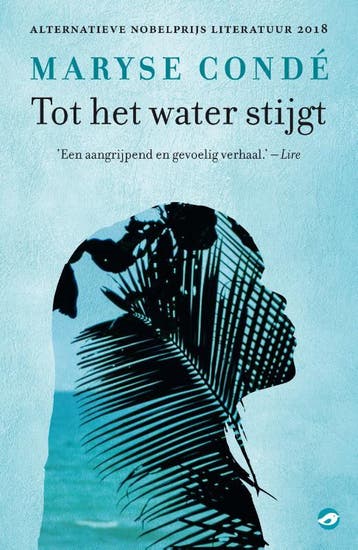 Tot het water stijgt - Maryse Condé 9789493081901, Boeken, Verzenden, Zo goed als nieuw, Maryse Condé