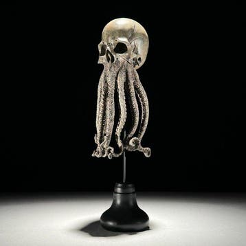 Octopus-schedel sculptuur Schedel - - - 32 cm - 12 cm - 12, Antiek en Kunst