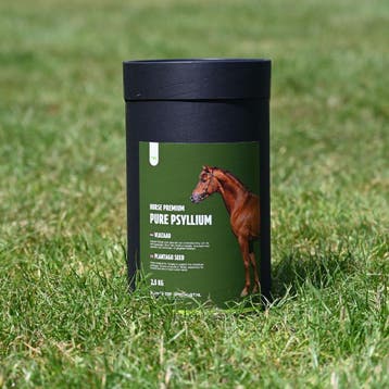 Pure Psyllium Vlozaad voor paarden en ponys - 2,5 kg, Dieren en Toebehoren, Nieuw