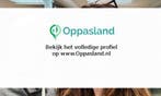 Svitlana zoekt een oppas in Rhoon voor 1 kind op vrijdag,...