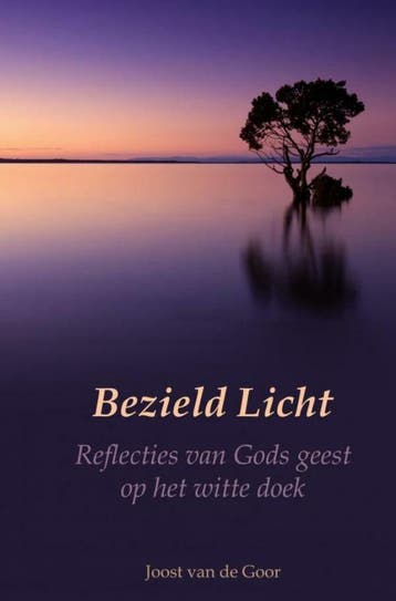 Bezield Licht - Joost van de Goor 9789464808902, Verzenden, Gelezen, Joost van de Goor
