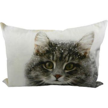 canvas kussen kat sneeuw 35x50cm*, Verzenden, Nieuw