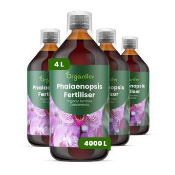 Vloeibare Phalaenopsismest - Set 4x1 liter, Verzenden, Mest
