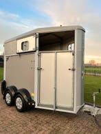 Jonge en oerdegelijke Ifor Williams 1.5 paards!, Ophalen, Zo goed als nieuw, Aluminium, 1½-paards trailer