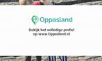 Charlotte zoekt een oppas in Rijswijk voor 2 kinderen op...